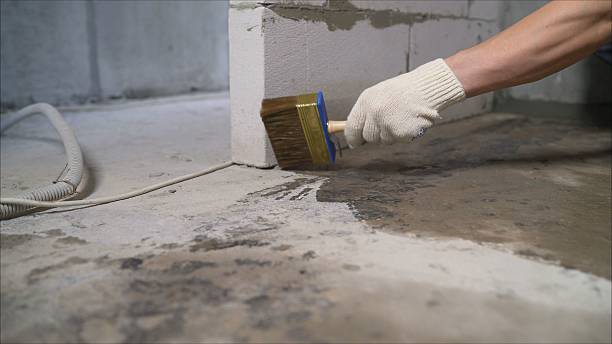 SJ Waterproofing Pros Waterproofing coverage map for Birchwood, TN and surrounding area